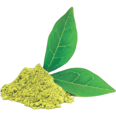 Gymnema Sylvestre