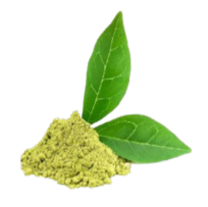 Extrait de Gymnema Sylvestre