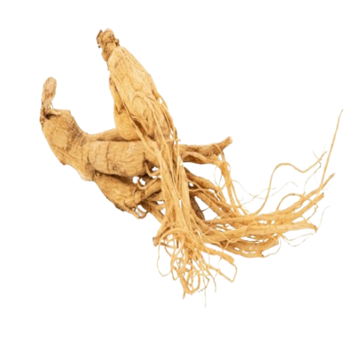Extraits de Ginseng