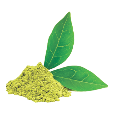 Extrait de Thé Vert