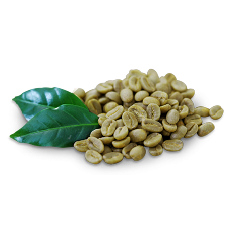 Extrait de Café Vert